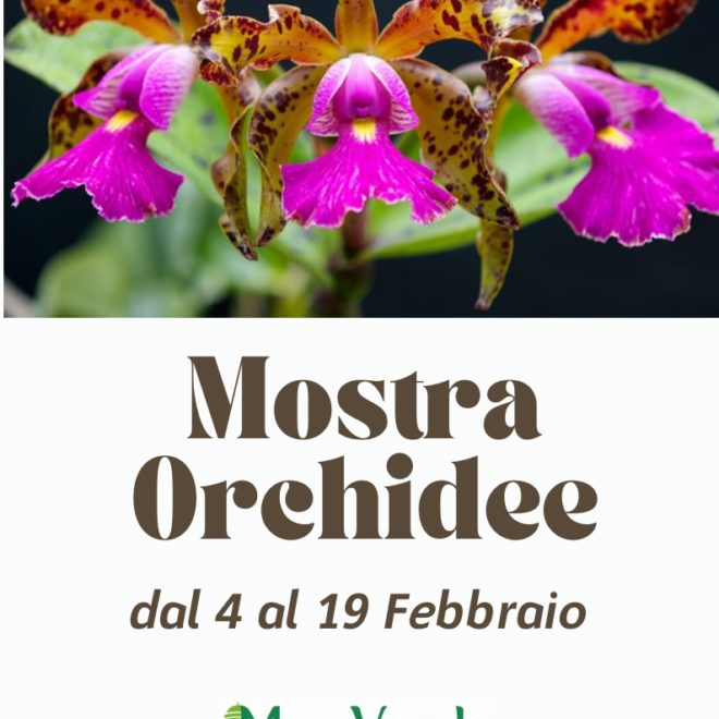 mostra orchidee 2023