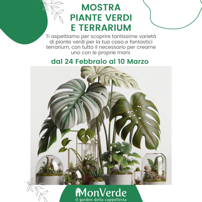 poster della mostra terrari e piante verdi